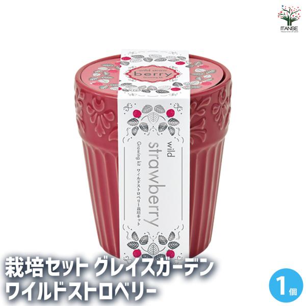 【商品の特徴】優美なエンボスデザインで釉薬の風合いを活かした、陶器製ポットで育てるシリーズ。パッケージにはシルバー箔をたっぷりと使用してちょっぴり高級感のある仕上がりに。ギフトにもぴったりの商品です。【検索キーワード】栽培セット 栽培キット...