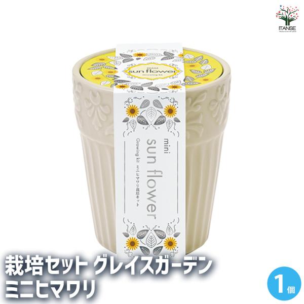 【商品の特徴】 優美なエンボスデザインで釉薬の風合いを活かした、陶器製ポットで育てるシリーズ。 パッケージにはシルバー箔をたっぷりと使用してちょっぴり高級感のある仕上がりに。 ギフトにもぴったりの商品です。 【検索キーワード】栽培セット 栽...