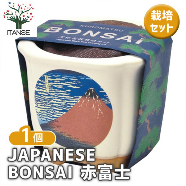 【JAPANESE BONSAI 盆栽栽培キットについて】種から育てる樹木の盆栽栽培セットです。浮世絵の名画がデザインされた、美濃焼の盆栽鉢で育ててみましょう。鉢のラインナップは、波富士、赤富士、白猫、富士と猫があります。お気に入りの鉢で松...