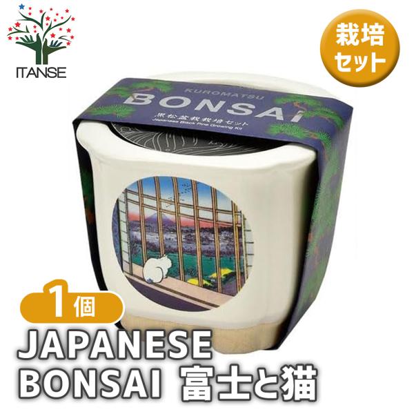 【JAPANESE BONSAI 盆栽栽培キットについて】種から育てる樹木の盆栽栽培セットです。浮世絵の名画がデザインされた、美濃焼の盆栽鉢で育ててみましょう。鉢のラインナップは、波富士、赤富士、白猫、富士と猫があります。お気に入りの鉢で松...