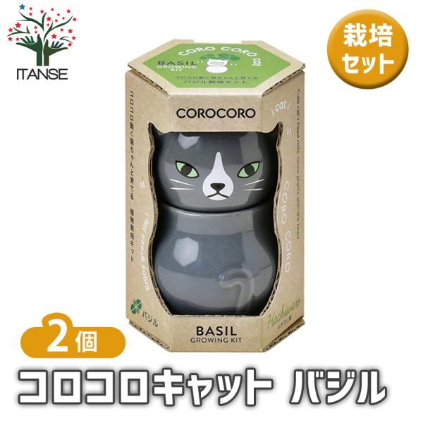 【商品の特徴】 バジルは独特の香りで人気があり、パスタなどの西洋料理に幅広く利用されています。 丈夫で育てやすい代表的なハーブです。 猫たちがコロンとお座りしたような姿の底面給水栽培キット。 頭と体が分かれていて、体の中に水を溜めて育てます...