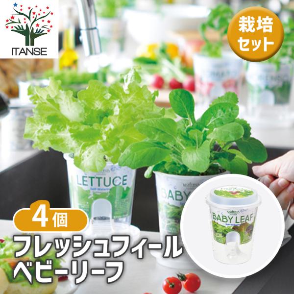 【商品特徴】 お部屋で手軽にフレッシュな野菜作りが楽しめる、底面給水ポット付きの栽培セット「フレッシュフィール」。 サラダや料理の彩りに、自分で育てた採れたての味を手軽に楽しめます。 アウターポットに水をためておくと、吸水ヒモが常に適度な水...