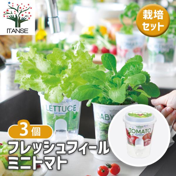 【商品特徴】 お部屋で手軽にフレッシュな野菜作りが楽しめる、底面給水ポット付きの栽培セット「フレッシュフィール」。 サラダや料理の彩りに、自分で育てた採れたての味を手軽に楽しめます。 アウターポットに水をためておくと、吸水ヒモが常に適度な水...