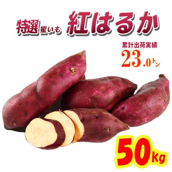 ITANSE さつまいも 紅はるか 茨城県産 50kg 2024秋 新芋土つき ITANSE さつまいも 紅はるか 茨城県産 50kg 2024秋 新芋土つき