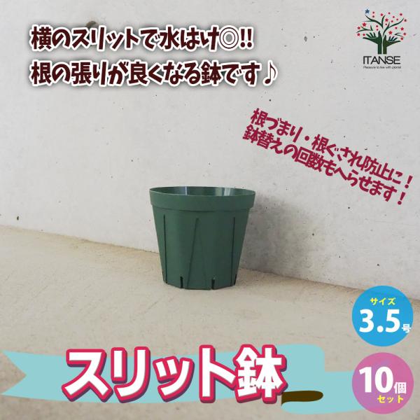ITANSE スリット鉢 3.5号 資材 /お買い得10個セット 鉢 植木鉢 鉢植え