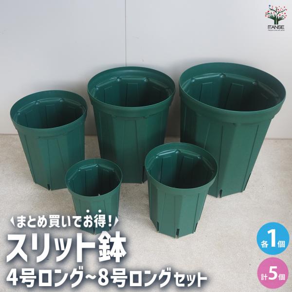 ITANSE スリット鉢 4〜8号ロングセット プラ鉢 5種類/各1個 鉢 植木鉢
