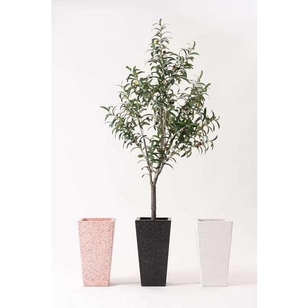 グリーンベースS CLY-36 グリーンベース プランター 植物 植木鉢 植え込み インテリア  リビング アクセント オブジェ デザイン テラゾー ニュアンス シルエット