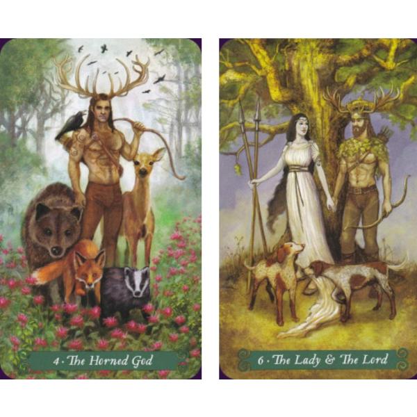 グリーン ウィッチ タロット The Green Witch Tarot タロットカード 78