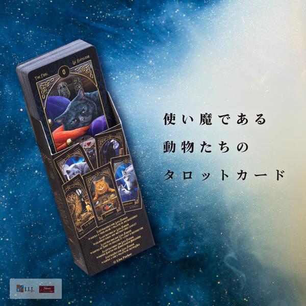 【新品未使用/日本未発売】Book of Hours タロットカード 新品未使用/日本未発売】Book of Hours タロットカード