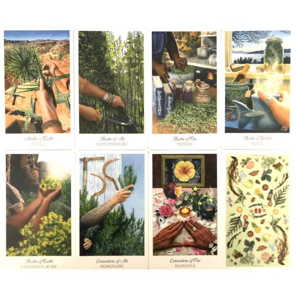 ハーブクラフターズ タロット The Herbcrafter's Tarot タロット