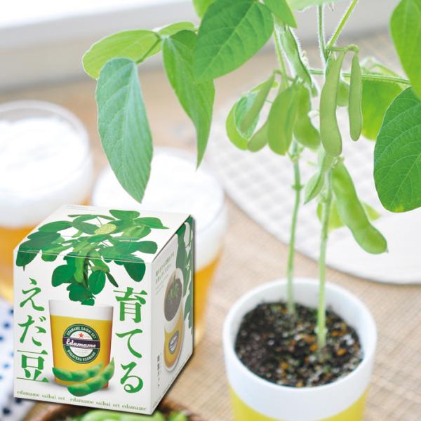 ●夏の暑い日、大人の楽しみと言えば…「ビールにえだまめ！！」●思わず笑顔になってしまう枝豆の栽培キットです。●父の日の贈り物にもピッタリのアイテムです♪●栽培ポットは美濃焼きの器を使用しています。■商品名育てるえだ豆 栽培キット■商品サイズ...