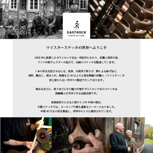 杖 ドイツ ガストロック社 ステッキ 925silver ケイ ホスピア シルバーシリーズ シルバーシリーズ 父の日 おしゃれ 母の日 父の日 敬老の日 プレゼント 代引き不可 Ga 501