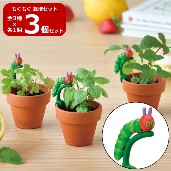 絵本3冊セット『ガーデニング~わがままな植物~』 絵本3冊セット『ガーデニング~わがままな植物~』 - メルカリ