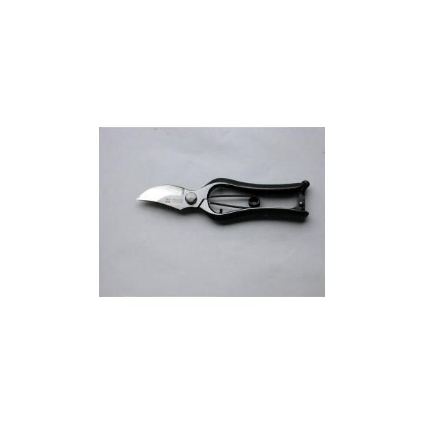 ̋`n{܁@a^ VC` PWO@B-180-2