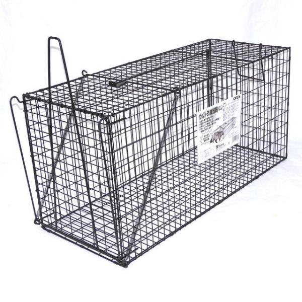 ウルトラ捕獲器 吊り餌フック式（外扉タイプ）ブラック LL ＜コンパル