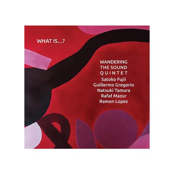 商品発送元：Clara MusicCD・DVD・楽器■ラインナップ：Satoko Fujii - pianoGuillermo Gregorio - clarinetNatsuki Tamura - trumpetRafal Mazur -...