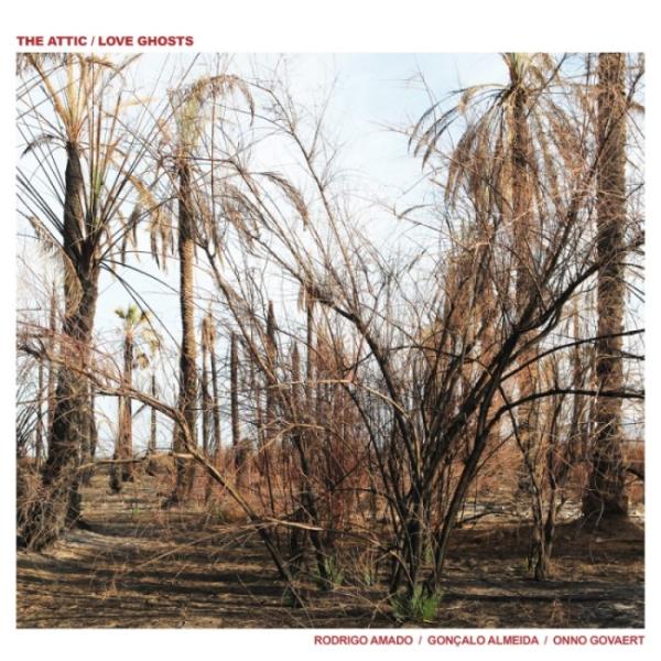 商品発送元：Clara MusicCD・DVD・楽器■アーティスト：ATTIC■レーベル：NoBusiness Records北海道発★クララミュージック Clara Musicは、ジャズ、サウンドトラックを中心にインディーズCDを取り扱う...