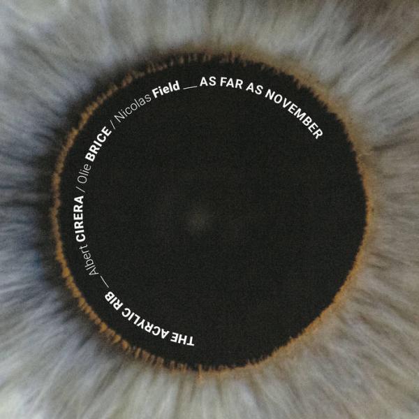 商品発送元：Clara MusicCD・DVD・楽器■アーティスト：The Acrylic Rib■商品詳細■レーベル：Fundacja Sluchaj北海道発★クララミュージック Clara Musicは、ジャズ、サウンドトラックを中心に...