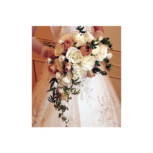 商品発送元：シンコーフラワーセンターバラ　スプレーバラ　ハゴロモジャスミン　他フラワー・ガーデニング