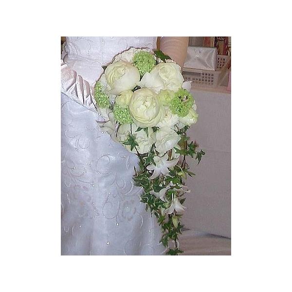 商品発送元：シンコーフラワーセンターバラ　スプレーバラ　デンファレ　ビバーナム　他フラワー・ガーデニング