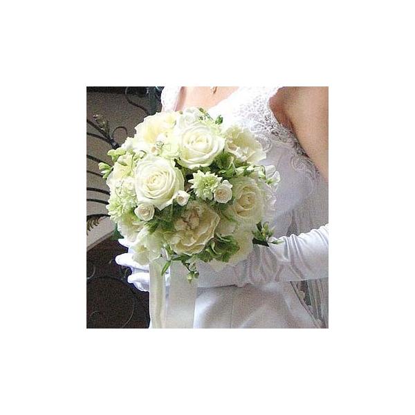 商品発送元：シンコーフラワーセンターバラ　スプレーバラ　宿根スイートピー　アジサイ　他フラワー・ガーデニング