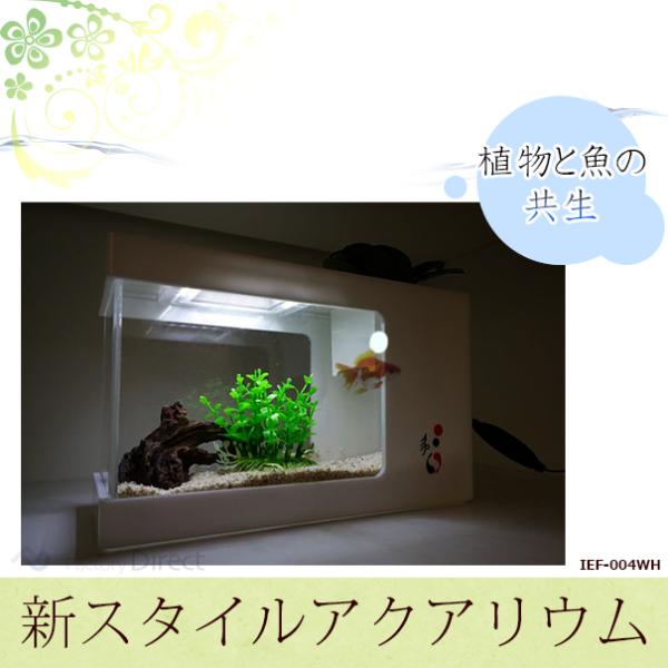 Ief 004wh アクアリウム水槽ホワイトベース 着脱式ledライト付水槽 熟練した職人の手作り品 ハンドメイド 水槽 インテリア ガーデニング 小魚 観葉植物 水耕栽 1 Factory10 4646 Shopooo By Gmo 通販 Yahoo ショッピング