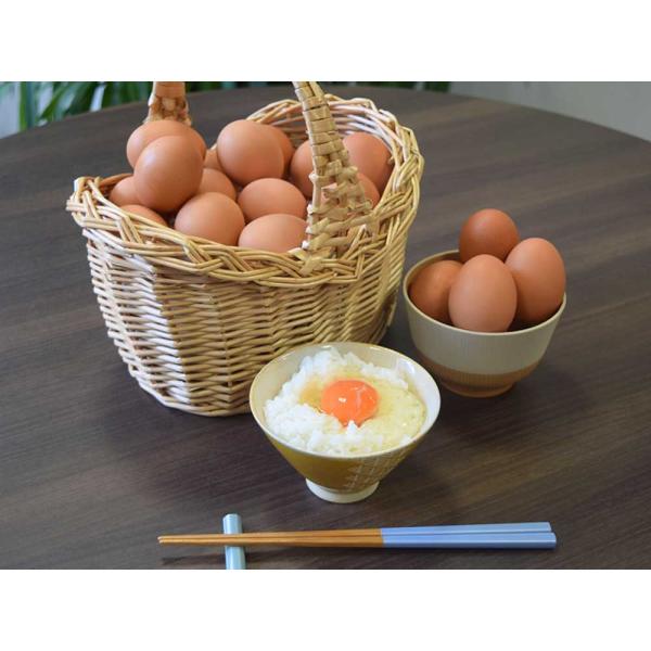 商品発送元：ガタ市フード・菓子、チーズ・乳製品卵濃厚で旨味たっぷりのアスタキサンチン含有アスタ卵で健康な毎日を生産地燕市内容量1パック(8個入り)×3パック発送日目安1週間以内に発送発送時期通年消費期限出荷日から2週間