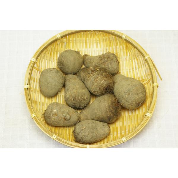 商品発送元：ハート.netshopフード・菓子モチモチした食感に、無施肥ならではの美味しさ、是非、体験してみて下さい。ぎゅっと身がしまっていますので、しっかり長めに炊いてお召し上がり下さい。      あさひ自然農園の土は里芋に合っているの...
