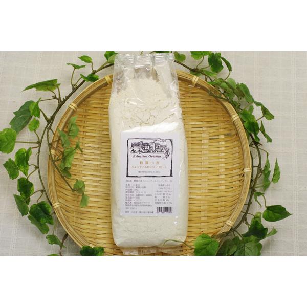 無肥料・自然栽培　軟質小麦粉ジェンティルロッソ・リエート（中力粉） 500g【v500】
