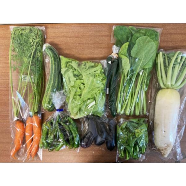 商品発送元：ハート.netshopフード・菓子『京の野菜セット』京都の生産者のお野菜に特化した野菜セットです。毎週水曜日に生産者のところにお野菜を取りに行き、その日のうちに発送します。 （一部、根菜類につきましては、収穫後少し時間が経ったも...