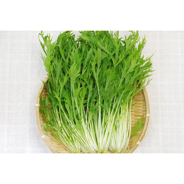 商品発送元：ハート.netshopフード・菓子嫌な味が一切なく、とても美味しいです。もちろん、生でも煮て食べて頂いても良いです。          商品情報          商品名          水菜          種子     ...