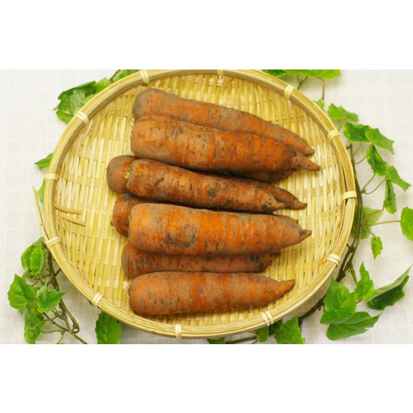 商品発送元：ハート.netshopフード・菓子肥料もあたえられない、きびしい環境の中でも、たくましく育ったにんじんは、水分率があり、みずみずしくサッパリしています。 エグミやにんじん独特の生臭さがなく、にんじんジュースにおすすめ！もちろん、...