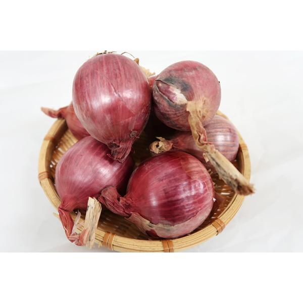 商品発送元：ハート.netshopフード・菓子赤紫色の玉ねぎです。辛みや刺激臭が少なく、甘みと水分が多いので、スライスして生のままお召し上がりいただくのがおすすめです。商品名赤玉ねぎ栽培方法無肥料自然栽培産地兵庫県生産者花岡農恵園内容量1?...