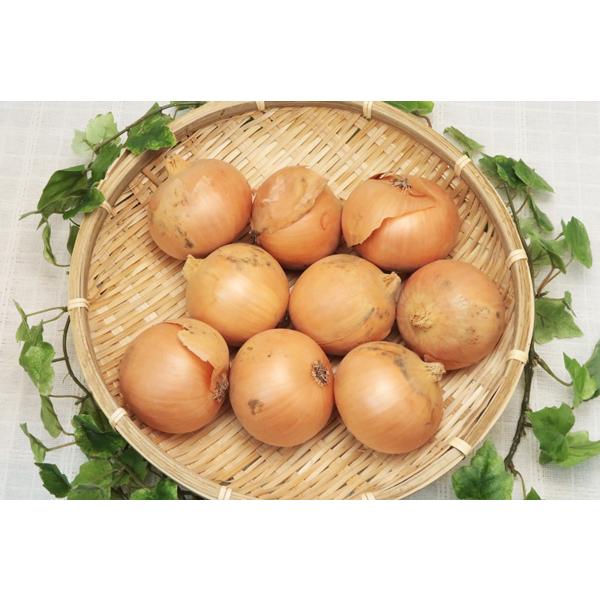 商品発送元：ハート.netshopフード・菓子無肥料・自然栽培の淡路島の玉ねぎです。    商品情報    商品名    玉ねぎ    栽培方法    無肥料・自然栽培    産地    兵庫県    生産者    花岡農慶園    内容量...