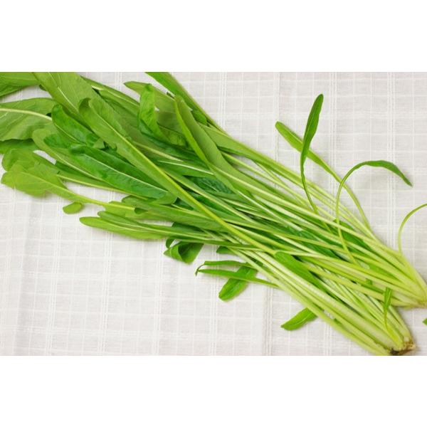 商品発送元：ハート.netshopフード・菓子水菜の自然交配でできたといわれる壬生菜（みぶな）は、現在の中京区・壬生寺付近で多く栽培されたことからこの名前が付きました。水菜と違い、葉が細く、ヘラのような形をしているのが特徴です。ほんのり辛子...