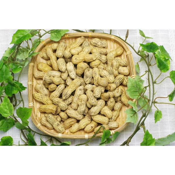 【無肥料・自然栽培】落花生（乾燥）200g ［熊本県：豊永佐代子さん］【v400】
