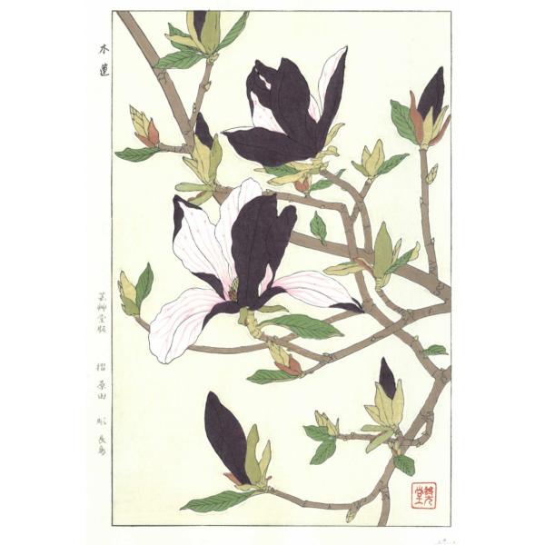 F077 木蓮 花版画 Flower Woodcut ‐Magnolia‐ : shopooo by GMO