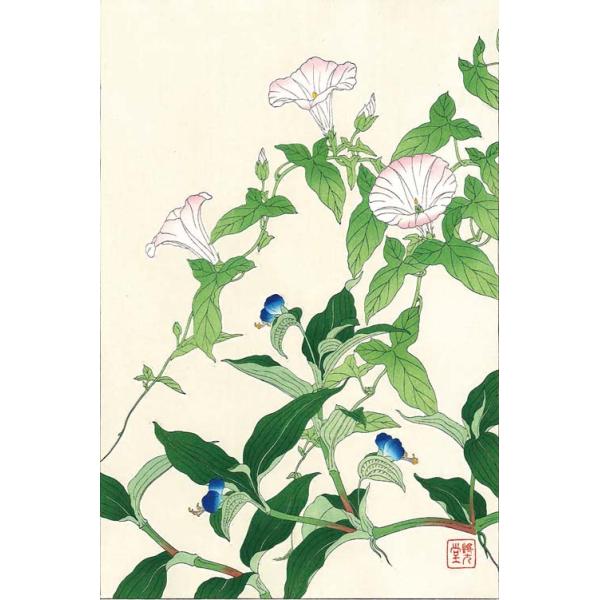 F062 昼顔と露草 花版画の四季彩インテリア