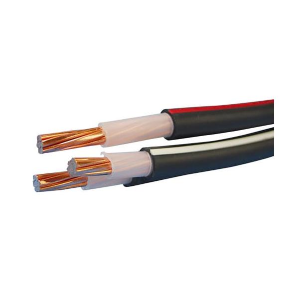 EM-CET エコケーブル 22sq×3c 10m 600V 架橋ポリエチレン絶縁耐燃性ポリエチレンシースケーブル 22 3c 10m