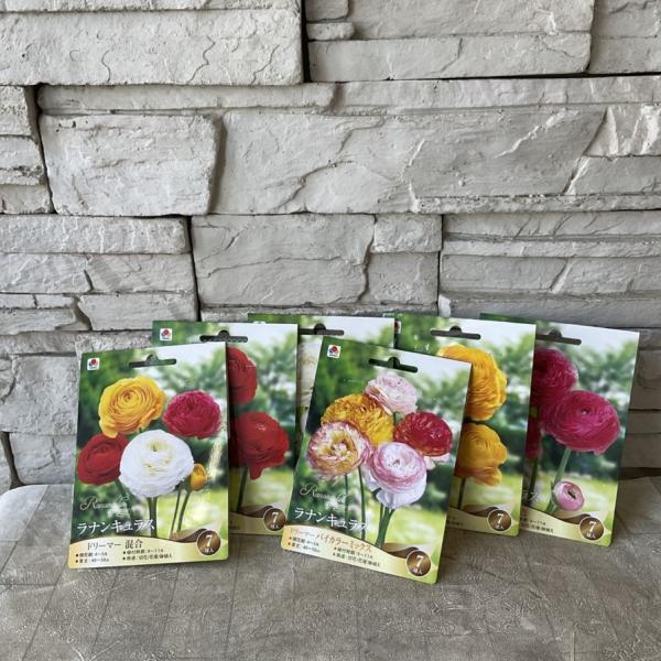 商品発送元：橋本種苗園オンラインストアフラワー・ガーデニング【商品名】【球根】ラナンキュラス　選べる♪6種類【分類】球根植物【開花期】4月〜5月【植付時期】9月&amp;#12316;11月【草丈】40〜50cm前後＊草丈は、参考にしていた...