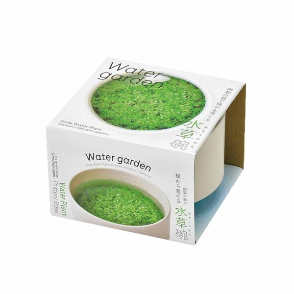 商品発送元："ITANSE農園セレクト通販"Healthy Herb &amp; Plants &amp; Foフラワー・ガーデニング、ガーデニング、種子・球根、栽培セット【商品特徴】種の状態から水草を育てられる、栽培キットです。陶器に土を...
