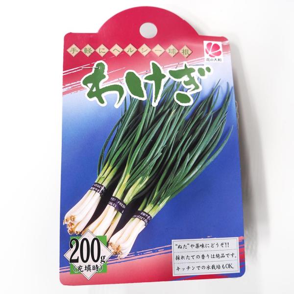 送料無料 分葱 わけぎ 種球根 ネット詰め野菜球根 充填時0g 1袋 わけぎ種 わけぎ球根 ワケギ球根 ワケギ種 分葱種 分葱球根 家庭菜園 初心者 簡単 苗 裸 1 Itanse 1290 Shopooo By Gmo 通販 Yahoo ショッピング