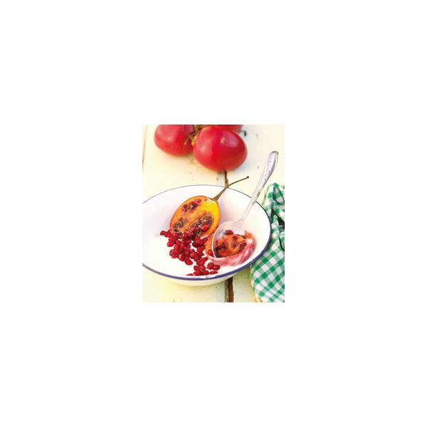 トマトの木 タマリロ の種子 約２０粒 種が大きいので結構簡単に蒔けます 送料無料 Buyee Buyee Japanese Proxy Service Buy From Japan Bot Online