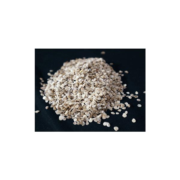 トマトの木 タマリロ の種子 約２０粒 種が大きいので結構簡単に蒔けます 送料無料 Buyee Buyee Japanese Proxy Service Buy From Japan Bot Online