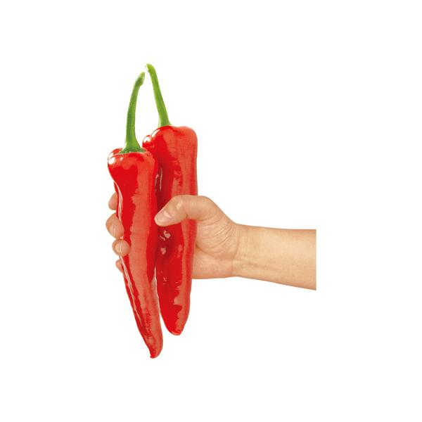 フルーティーピーマン スイートパレルモ 赤実 の苗野菜苗 パレルモ苗 パプリカ苗 ピーマン苗
