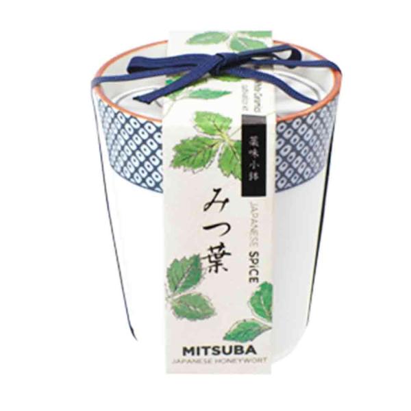 商品発送元："ITANSE農園セレクト通販"Healthy Herb &amp; Plants &amp; Foフラワー・ガーデニング、ガーデニング、種子・球根、栽培セット【セット内容】小鉢：1個(高さ：8cm直径：7cm)種：1袋培養土：...