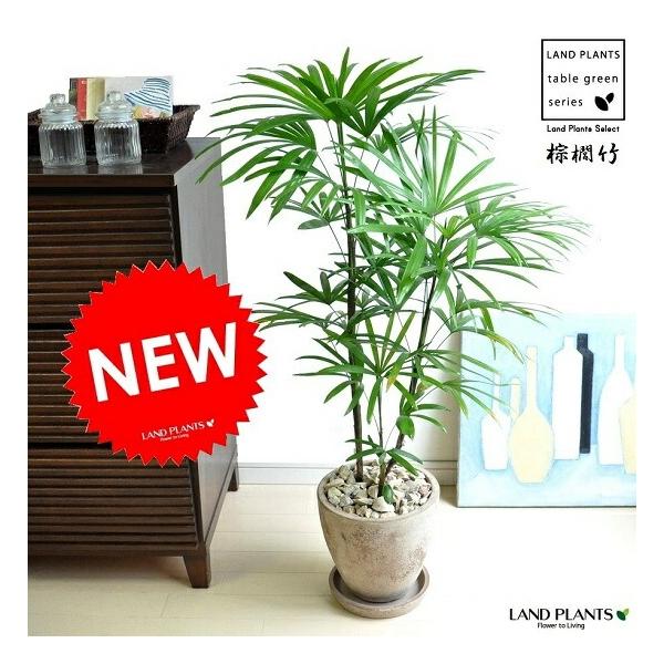 itempost_1-landplants3-148