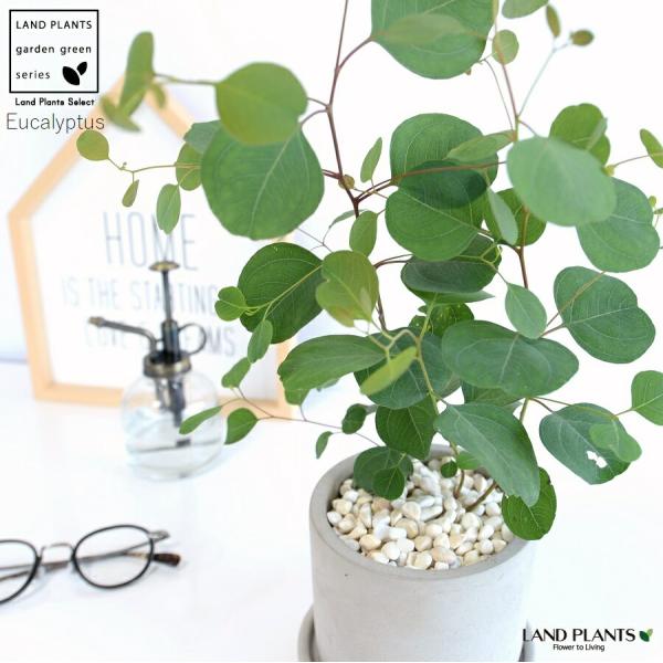 itempost_1-landplants3-2764