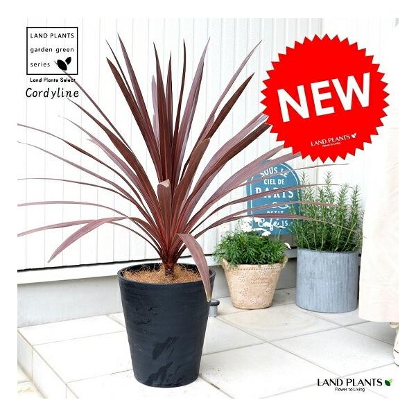 itempost_1-landplants3-2975