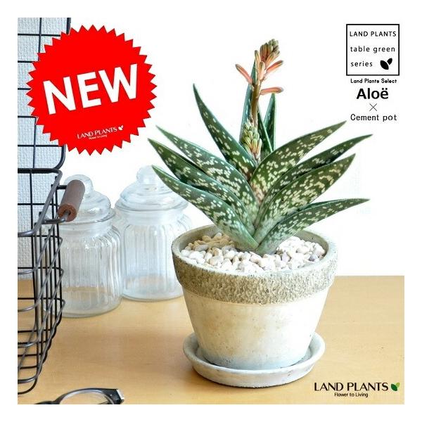itempost_1-landplants3-884